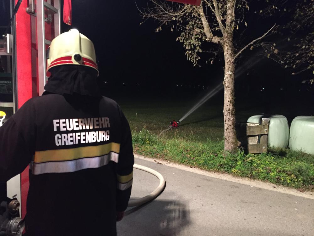 Brand eines Holzlagers