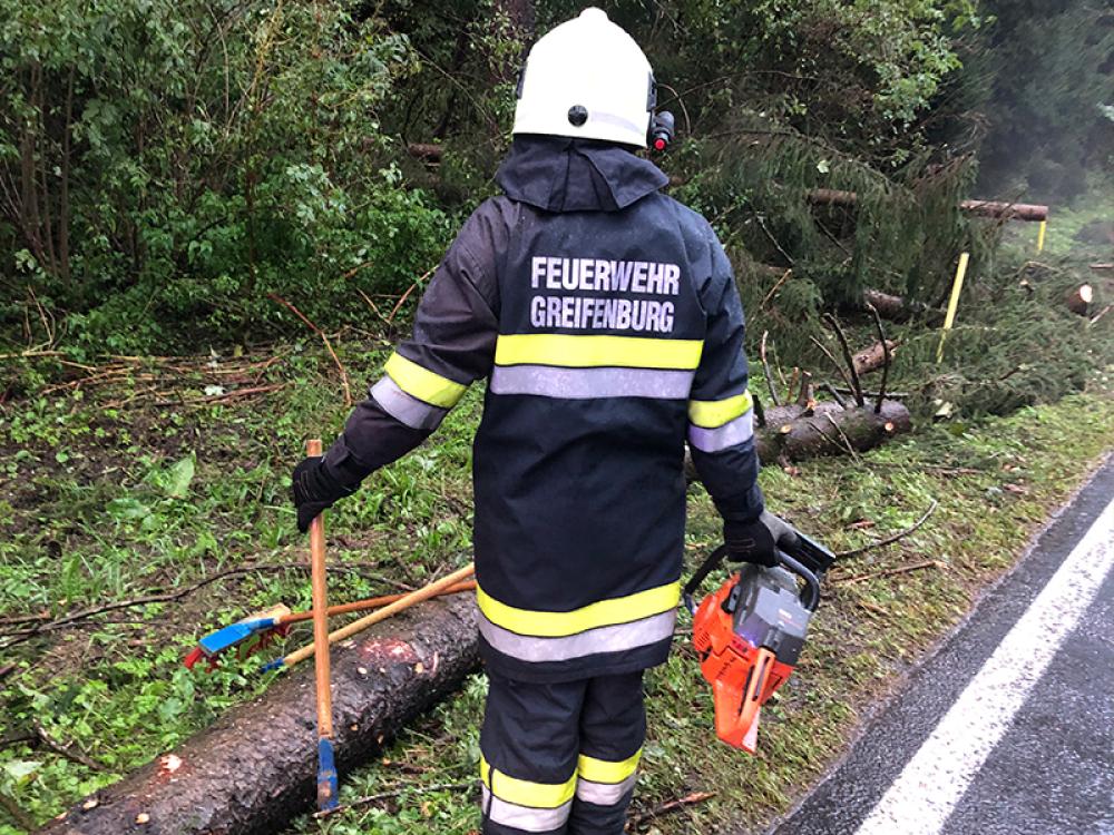 Tragischer Forstunfall am Weißensee